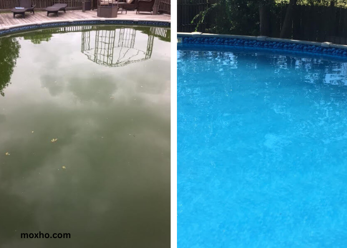 How to Get Brown Pool Water Clear
